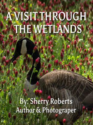 cover image of A Visit Through the Wetlands